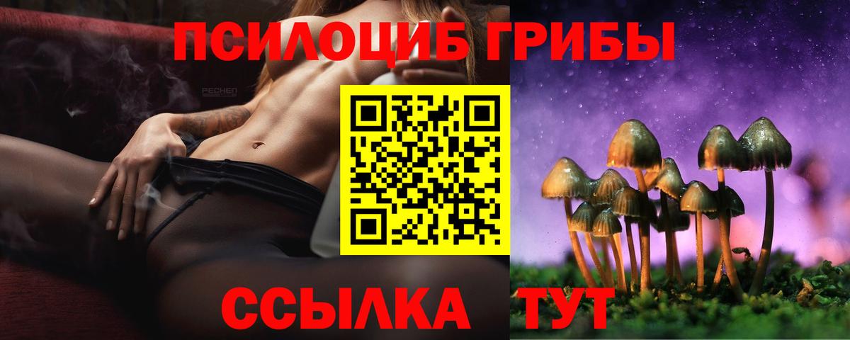 Псилоцибиновые грибы Magic Shrooms  Вход с VPN  Соликамск  Псилоцибиновые грибы прущие грибы 